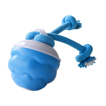 🐾Interactive Electronic Pet Soothing Toy Ball